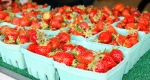 Strawberries at the Saturday Farm Market